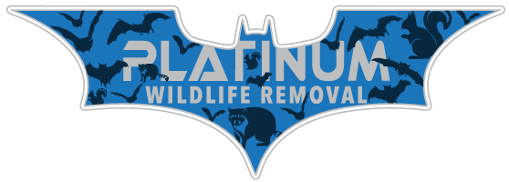 Accurate Animal Removal LLC